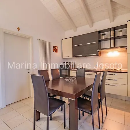 Agapantus Lido di Jesolo
